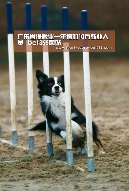 广东省保险业一年增加10万就业人员-bet365网站(图1) bet365网站