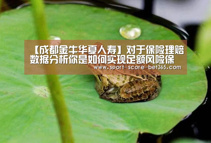 【成都金牛华夏人寿】对于保险理赔数据分析你是如何实现足额风险保障?“bt365官网”(图1) bt365官网