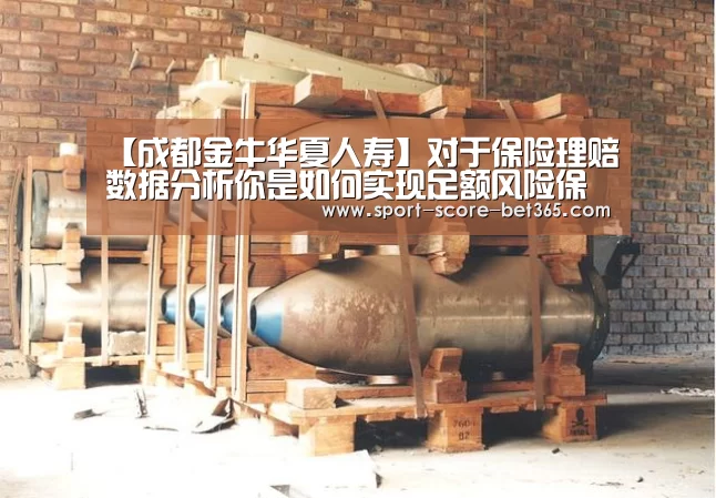 【成都金牛华夏人寿】对于保险理赔数据分析你是如何实现足额风险保障?“bt365官网”(图4) bet365网站